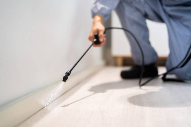 Licensed Pest Control service in Olympia Heights, FL - Show Me Pest Control